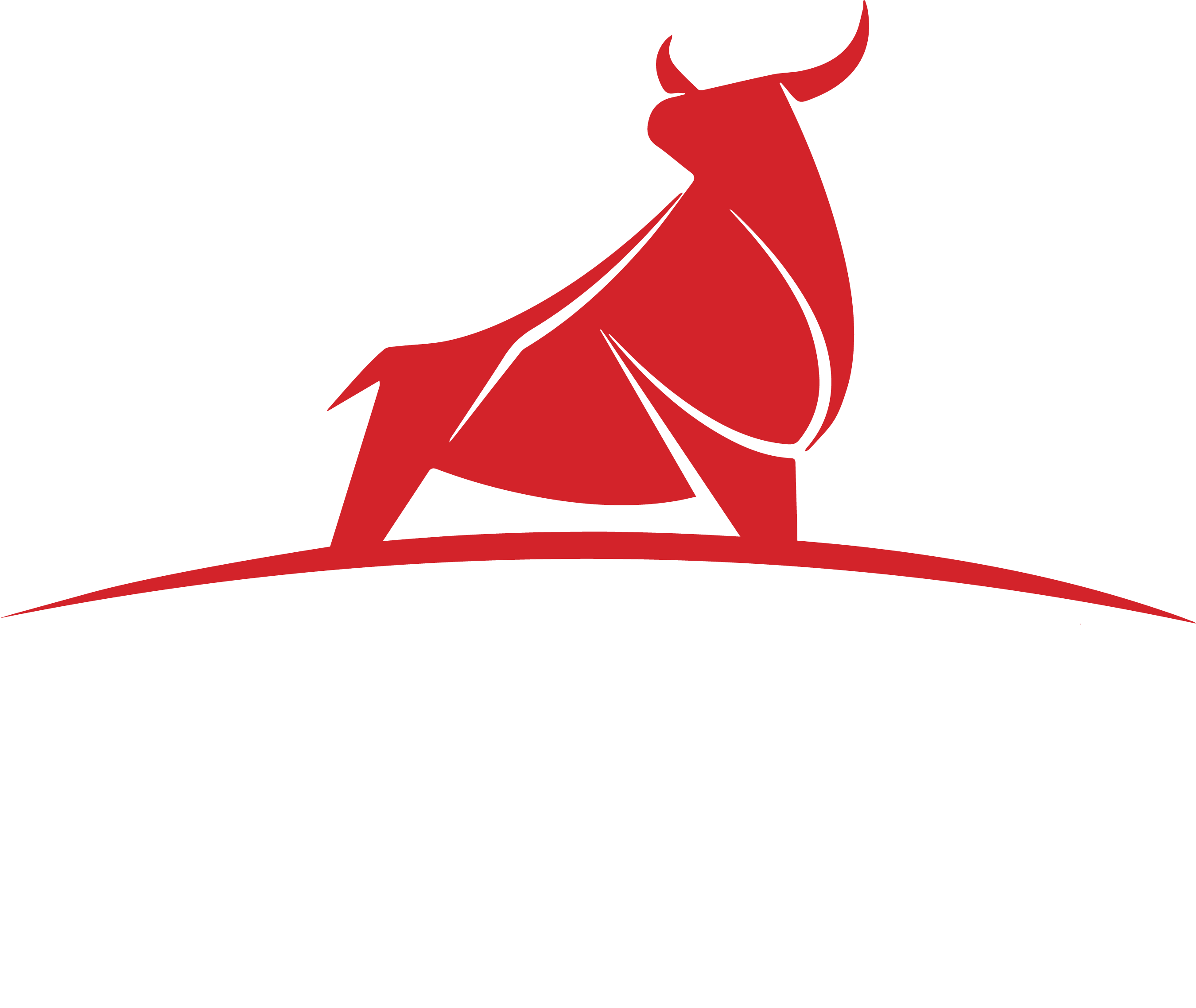 Bullseye Capital